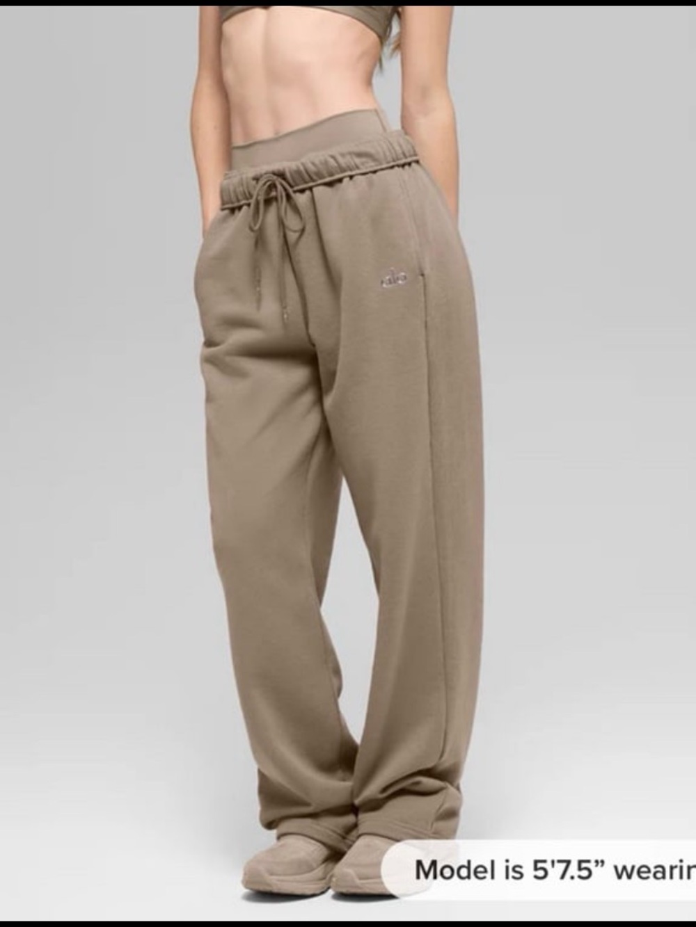 NWT alo yoga size M accolade straight leg sweatpants in granite